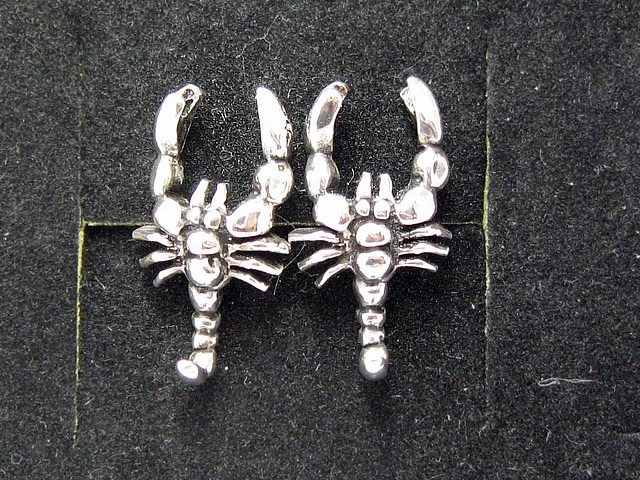 925 Sterling Silver Earring