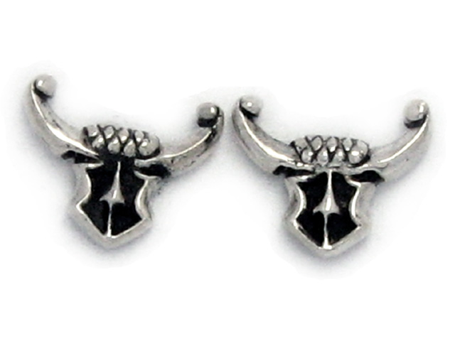 925 Sterling Silver Earring