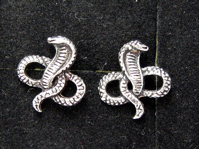 925 Sterling Silver Earring