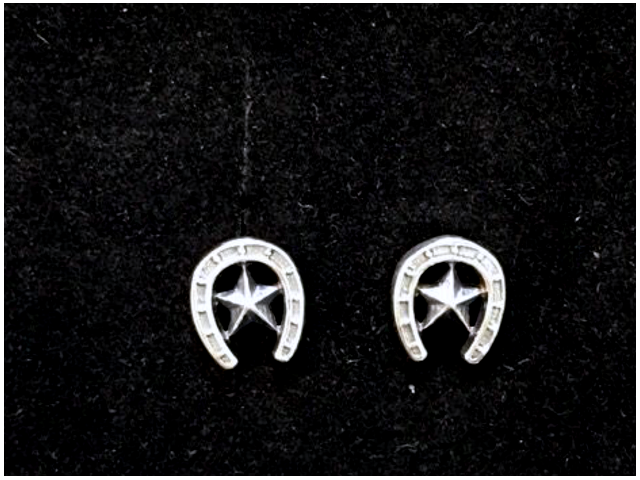 925 Silver Earring